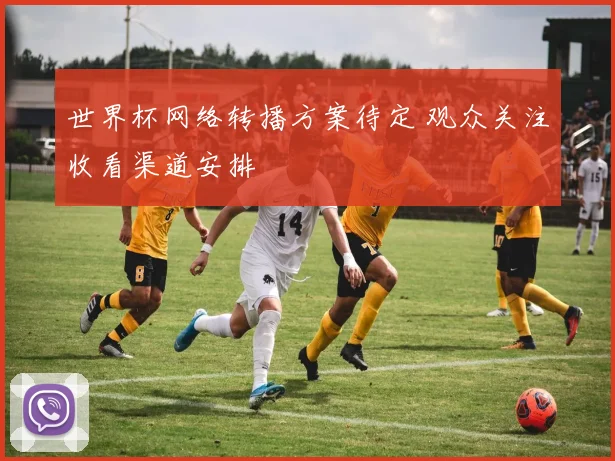 世界杯网络转播方案待定 观众关注收看渠道安排