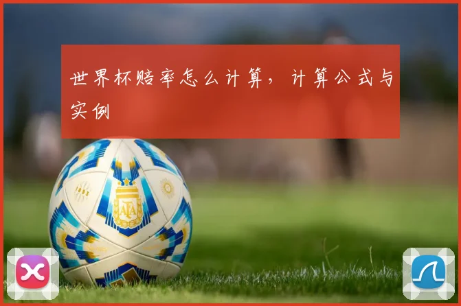 世界杯赔率怎么计算，计算公式与实例