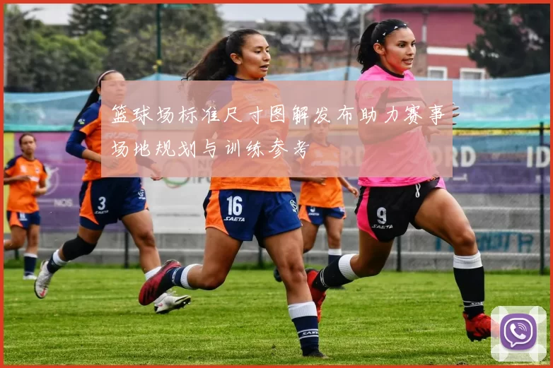 篮球场标准尺寸图解发布助力赛事场地规划与训练参考