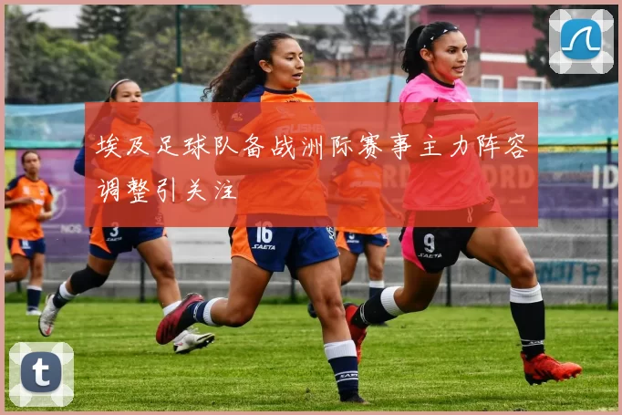 埃及足球队备战洲际赛事主力阵容调整引关注