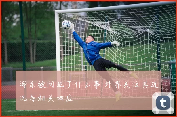 海东被问犯了什么事 外界关注其近况与相关回应