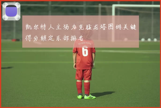 凯尔特人主场力克猛龙塔图姆关键得分锁定东部排名