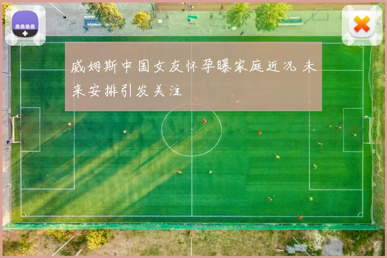 威姆斯中国女友怀孕曝家庭近况 未来安排引发关注