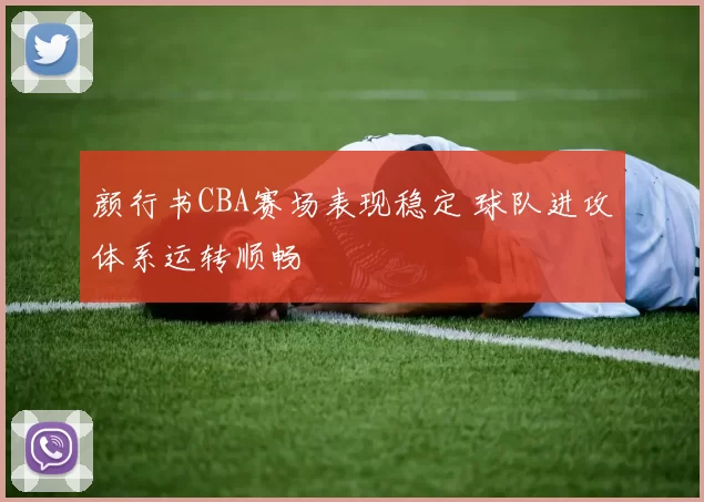 颜行书CBA赛场表现稳定 球队进攻体系运转顺畅