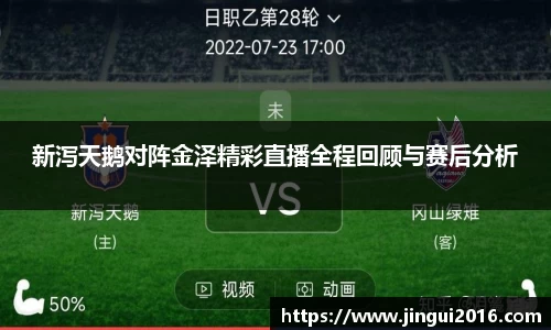 新泻天鹅对阵金泽精彩直播全程回顾与赛后分析