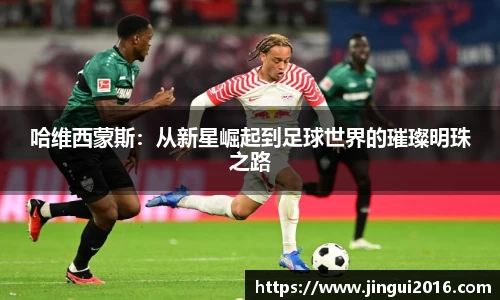 JN体育