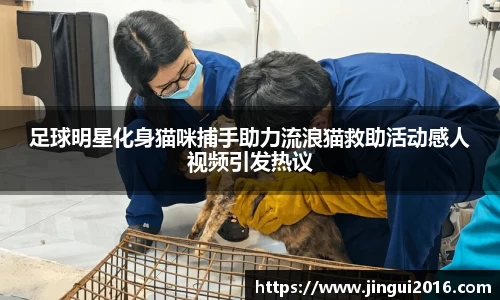 江南体育官方网站